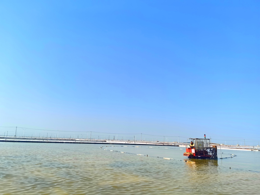 IMG_20240401_092451_副本