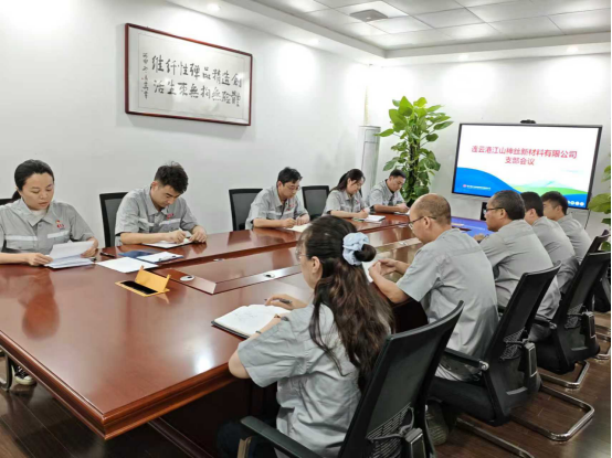 连云港江山神丝新材料有限公司召开支部成立会议