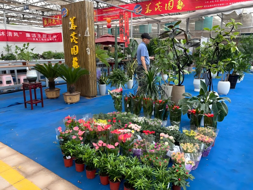 益丰6