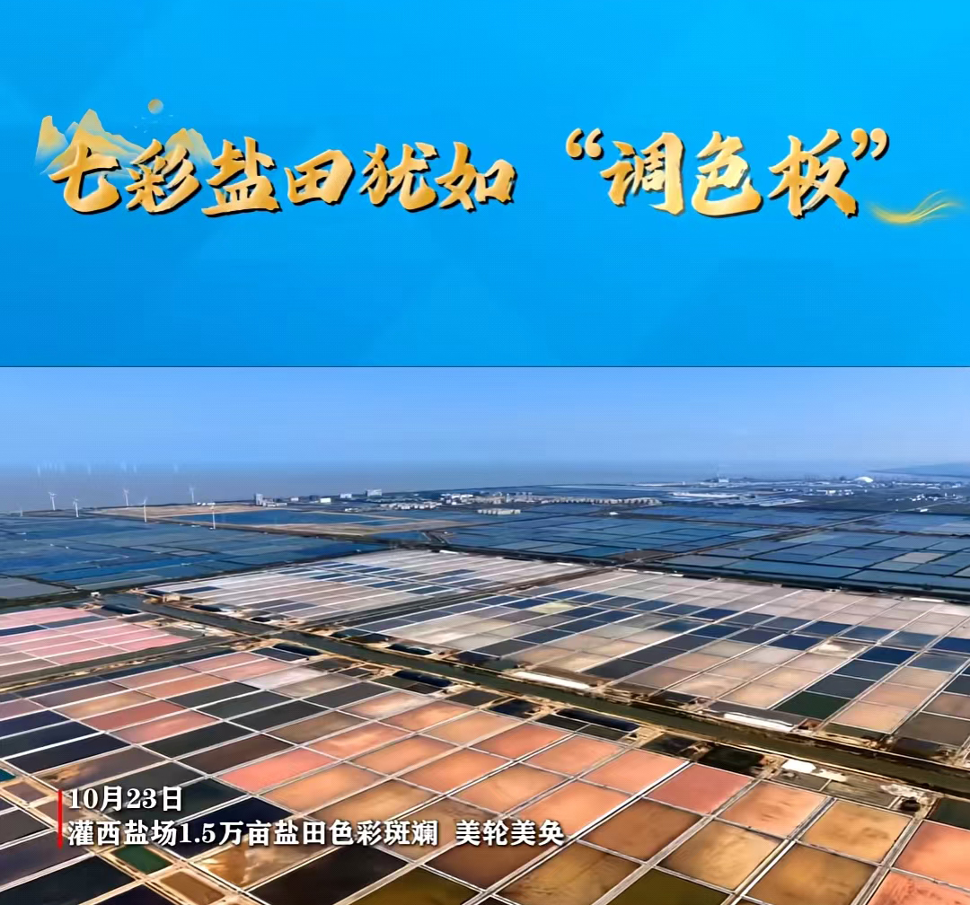 微信图片_20251029080319_208_685